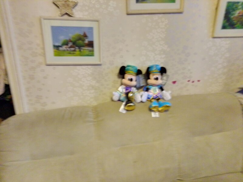 Stefan cel Mare, Lizeanu,